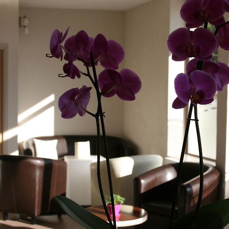Hotel Bel Horizon Saint-Chély-dʼApcher Екстериор снимка