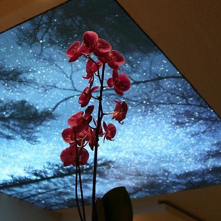 Hotel Bel Horizon Saint-Chély-dʼApcher Екстериор снимка