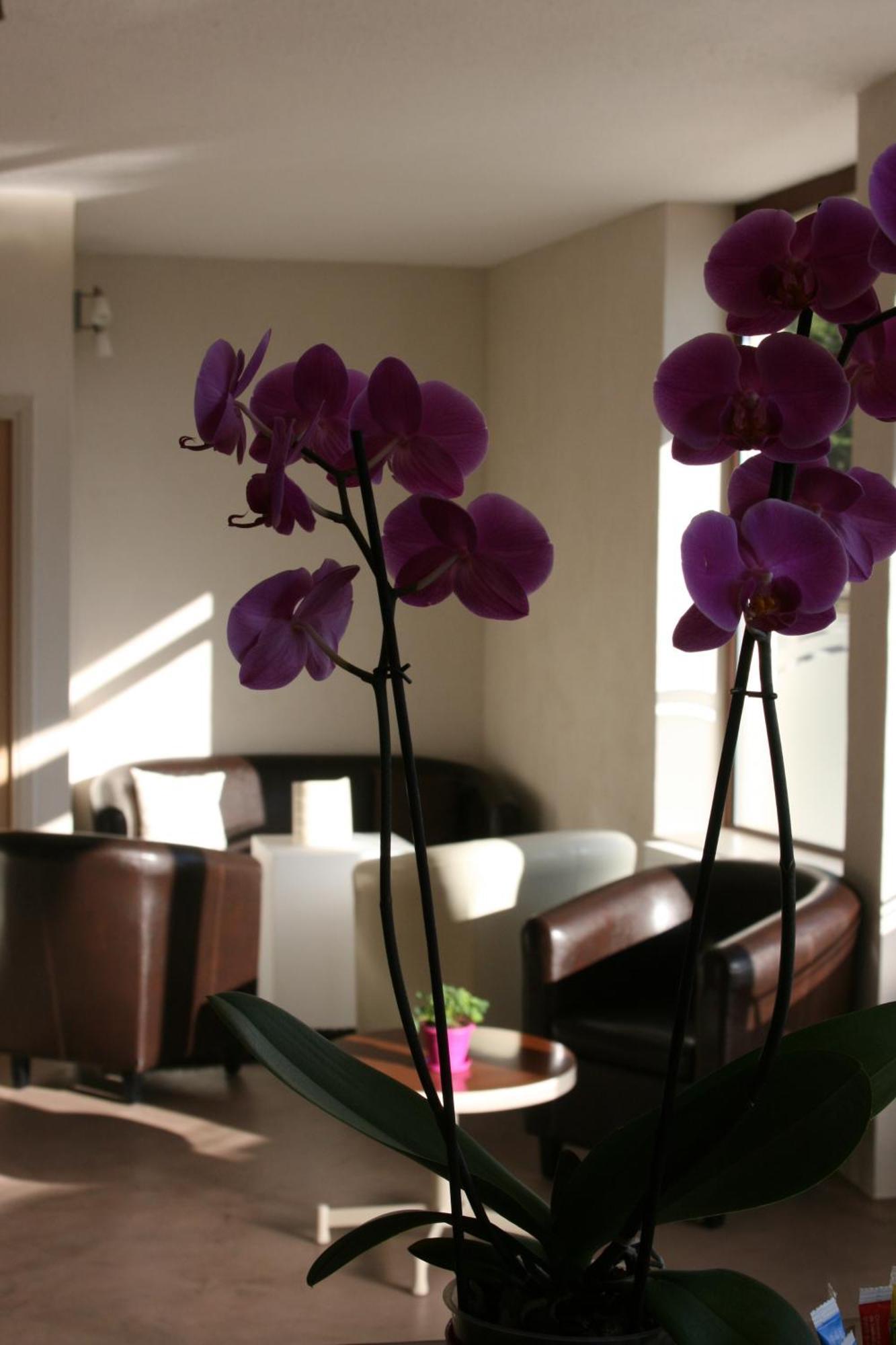Hotel Bel Horizon Saint-Chély-dʼApcher Екстериор снимка